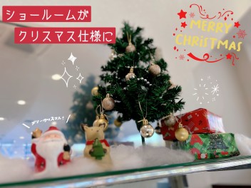 ショールームがクリスマス仕様に☆